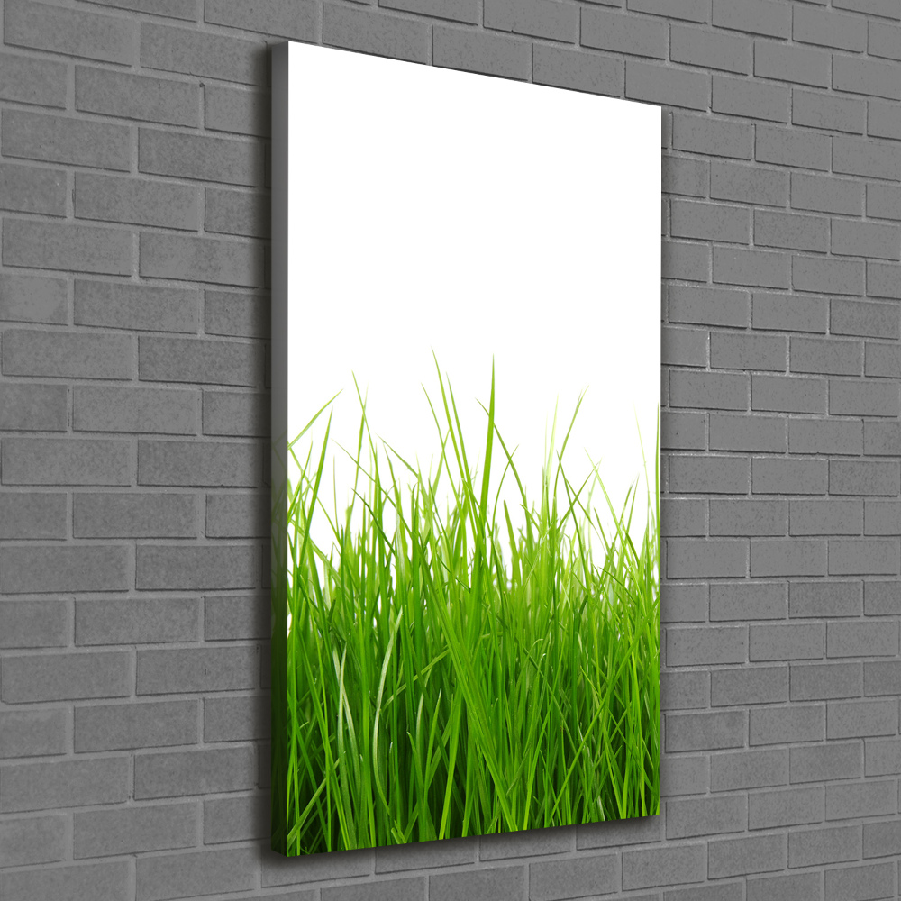 Picture canvas print green grass