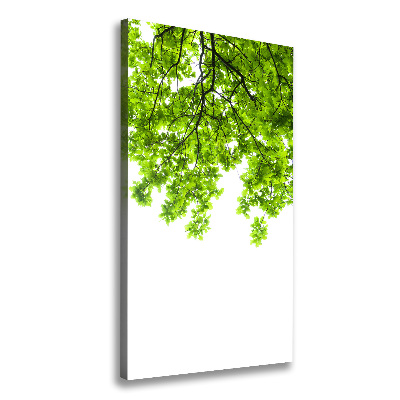 Wall canvas art Crown of trees