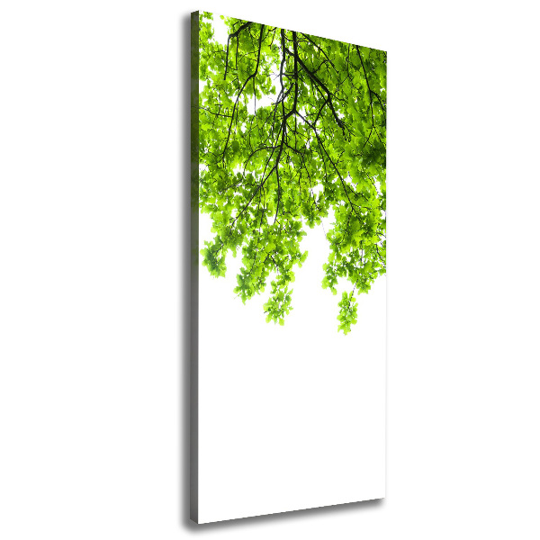 Wall canvas art Crown of trees