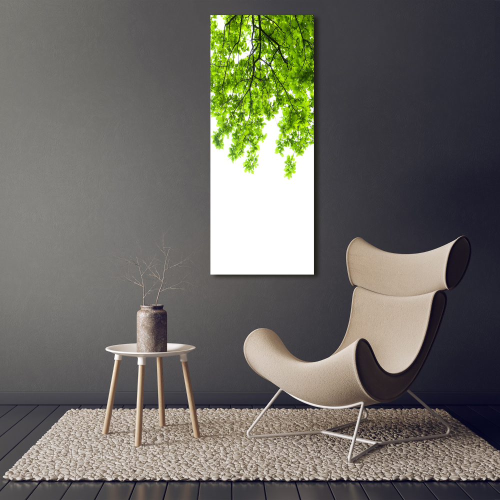 Wall canvas art Crown of trees