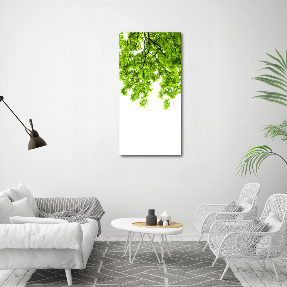 Wall canvas art Crown of trees