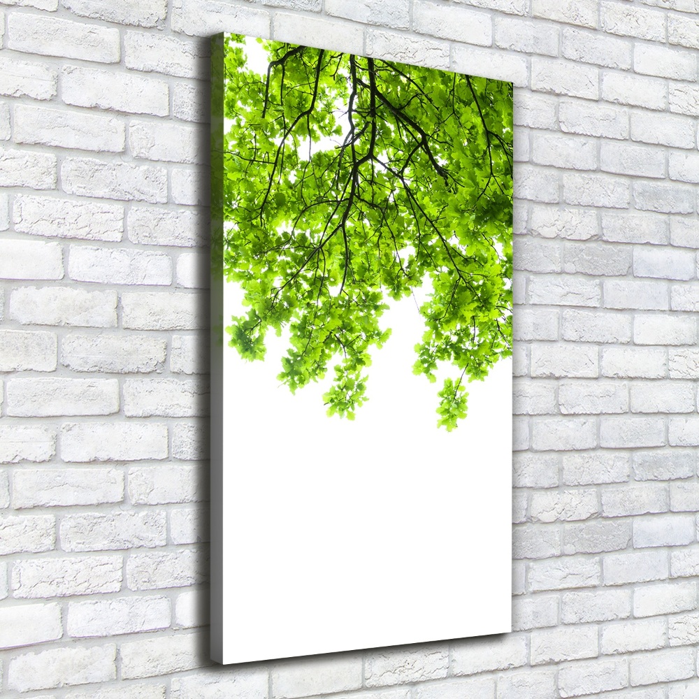 Wall canvas art Crown of trees