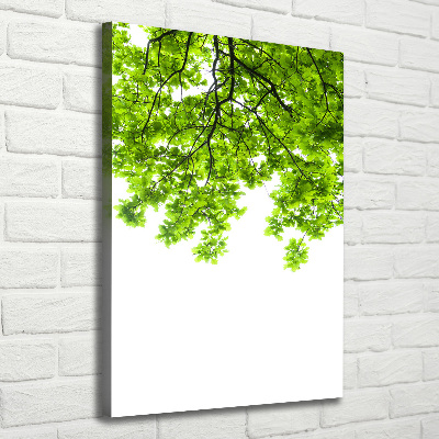 Wall canvas art Crown of trees