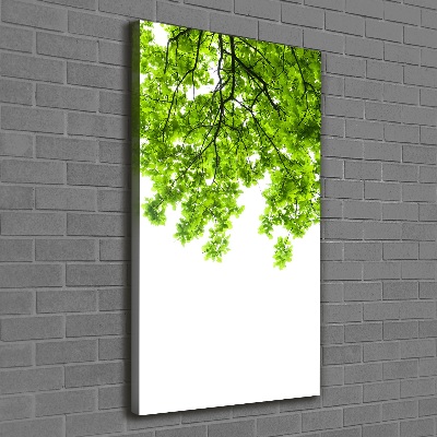 Wall canvas art Crown of trees