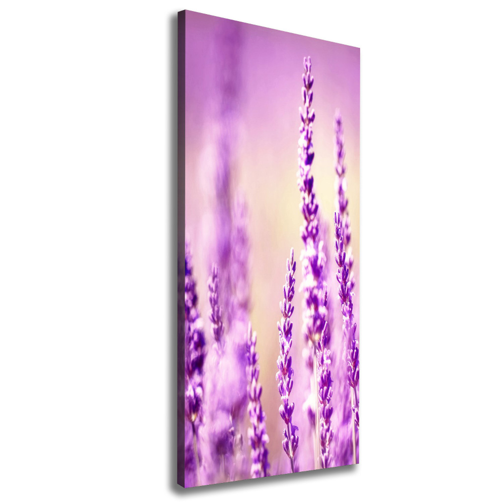 Canvas wall art Lavender