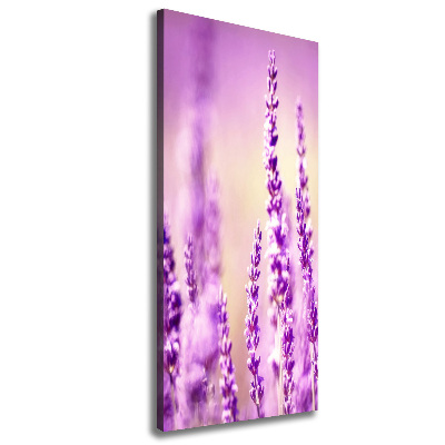 Canvas wall art Lavender