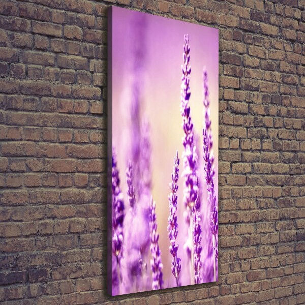 Canvas wall art Lavender