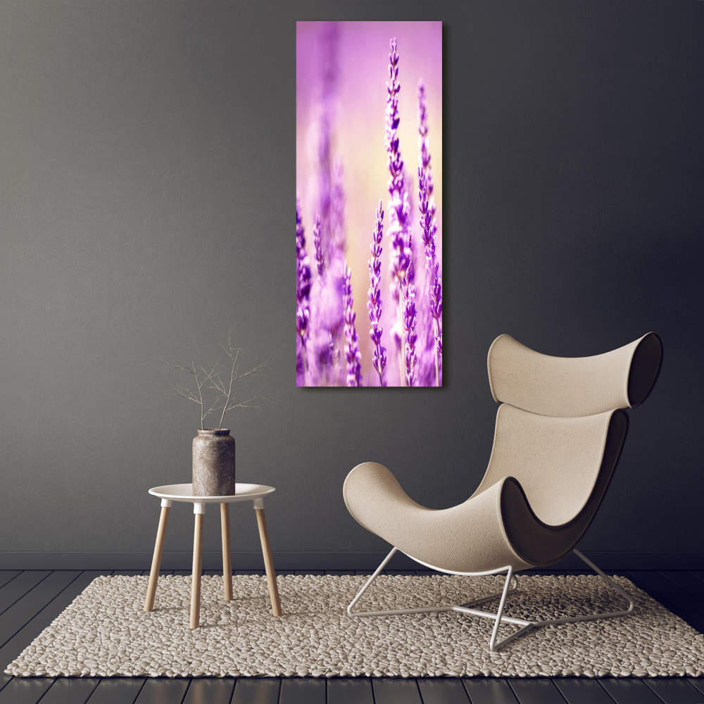 Canvas wall art Lavender