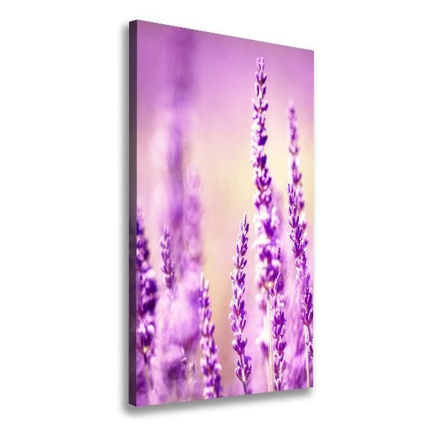 Canvas wall art Lavender