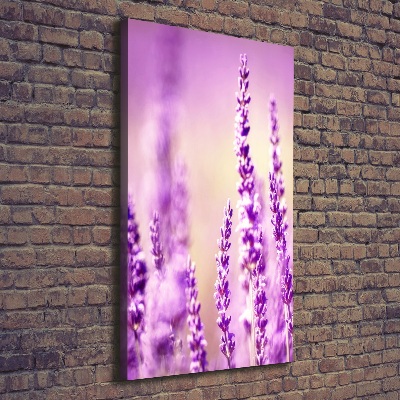 Canvas wall art Lavender