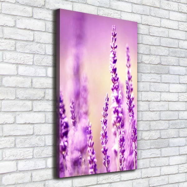 Canvas wall art Lavender