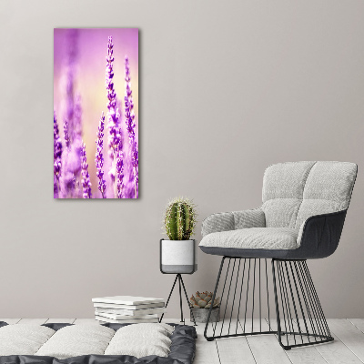 Canvas wall art Lavender