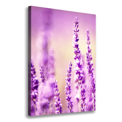 Canvas wall art Lavender