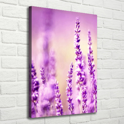 Canvas wall art Lavender