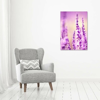 Canvas wall art Lavender