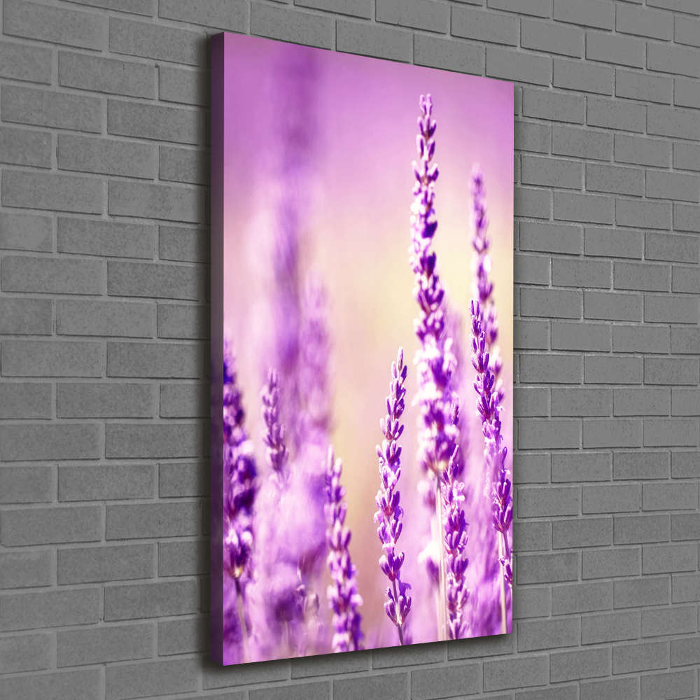 Canvas wall art Lavender