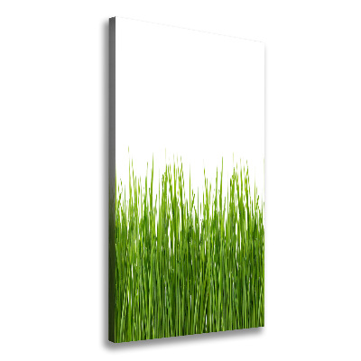 Picture canvas print green grass