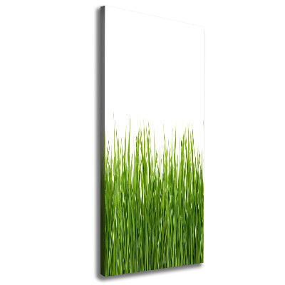 Picture canvas print green grass