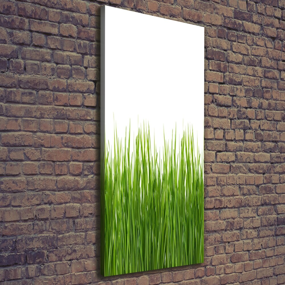 Picture canvas print green grass