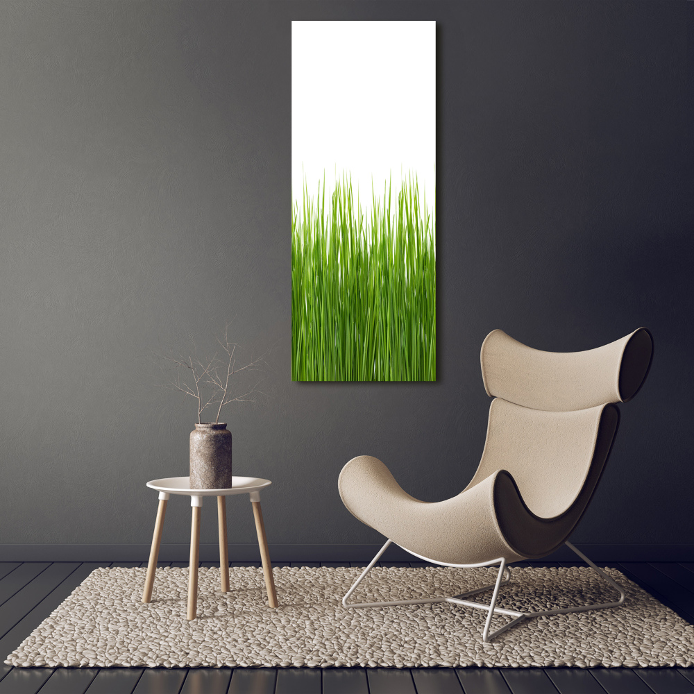 Picture canvas print green grass