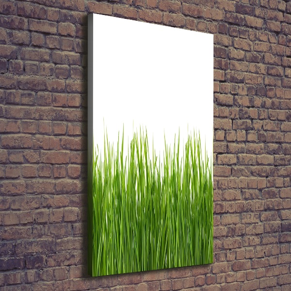 Picture canvas print green grass