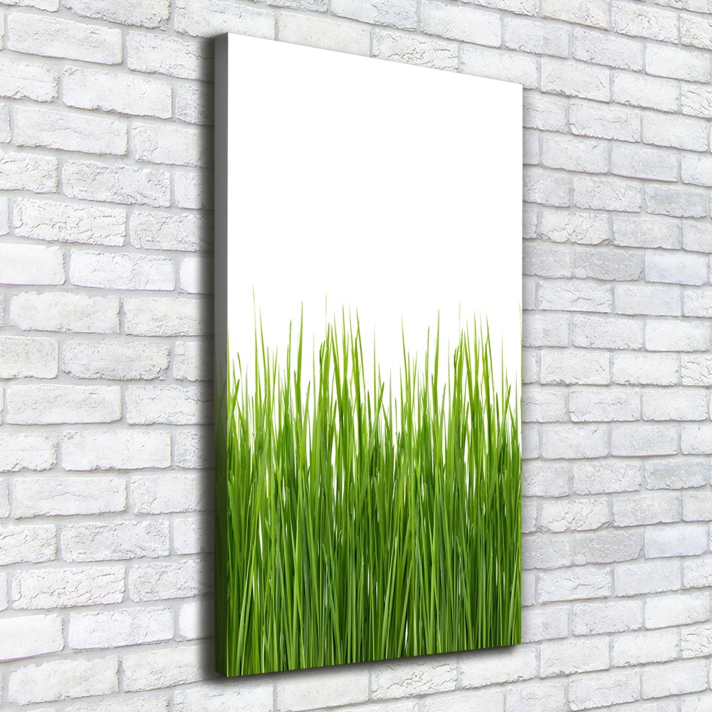 Picture canvas print green grass