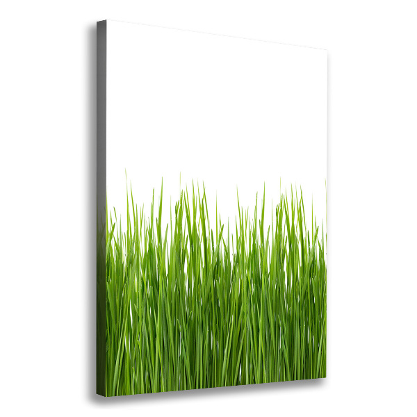 Picture canvas print green grass