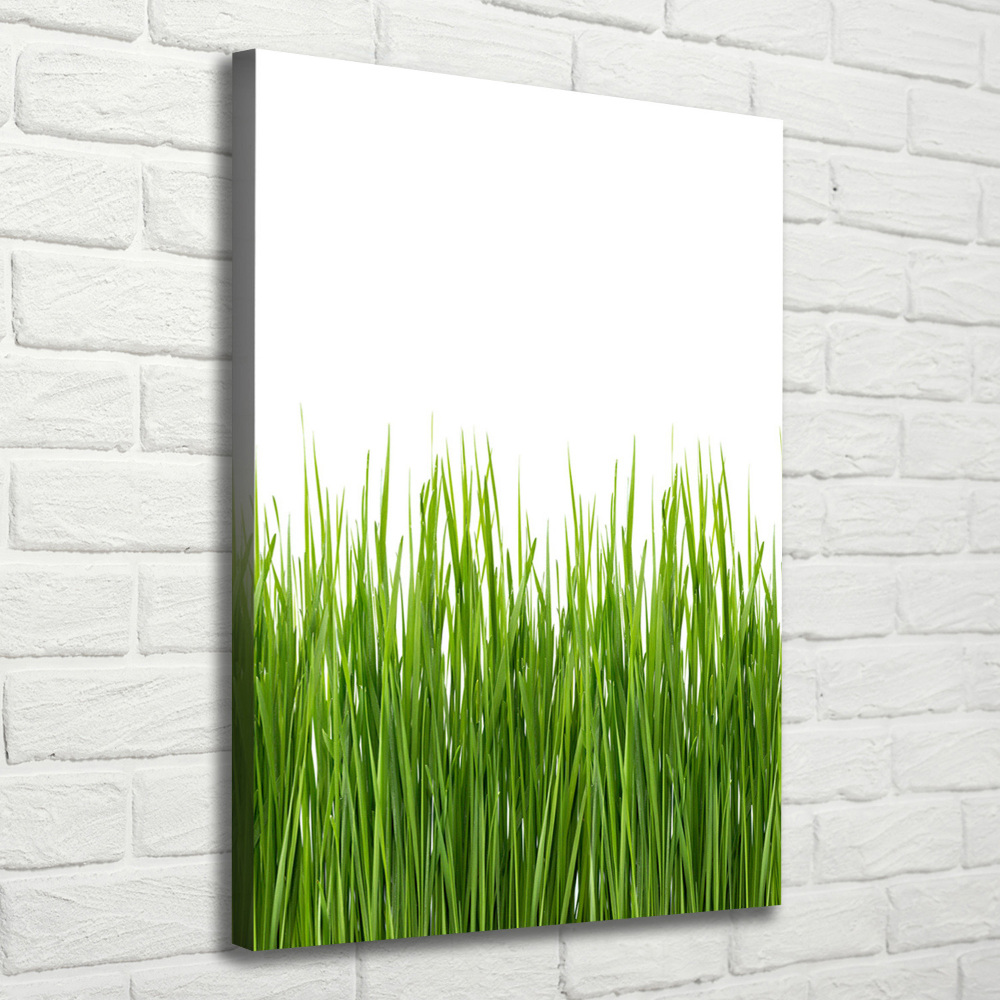 Picture canvas print green grass