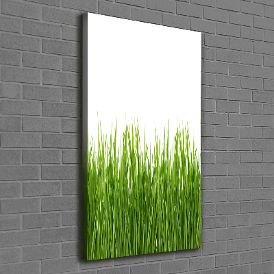 Picture canvas print green grass