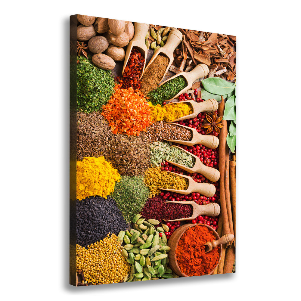 Picture canvas print Spices