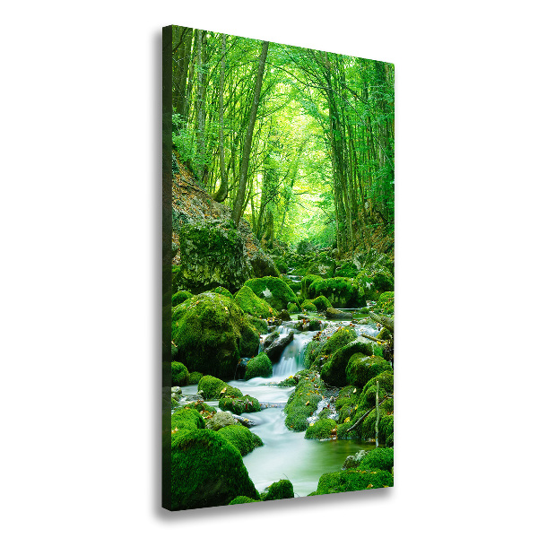 Large canvas wall art A stream in the jungle