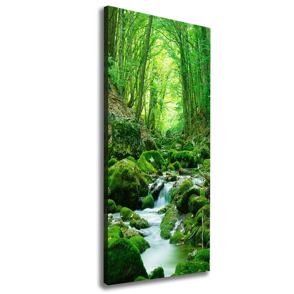 Large canvas wall art A stream in the jungle