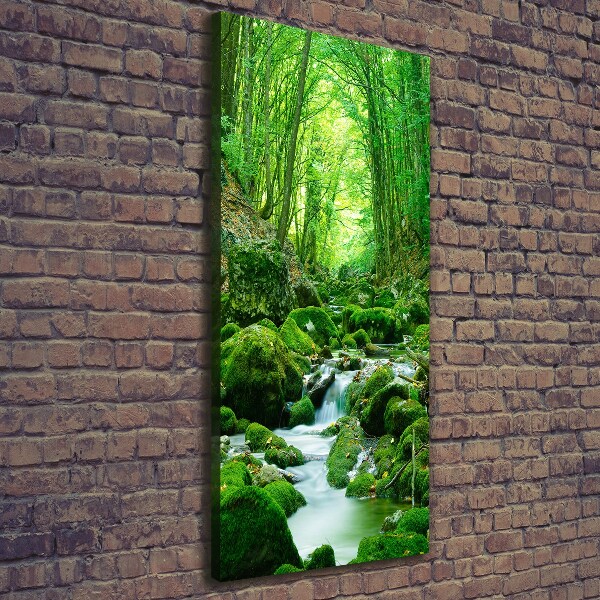 Large canvas wall art A stream in the jungle