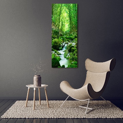 Large canvas wall art A stream in the jungle