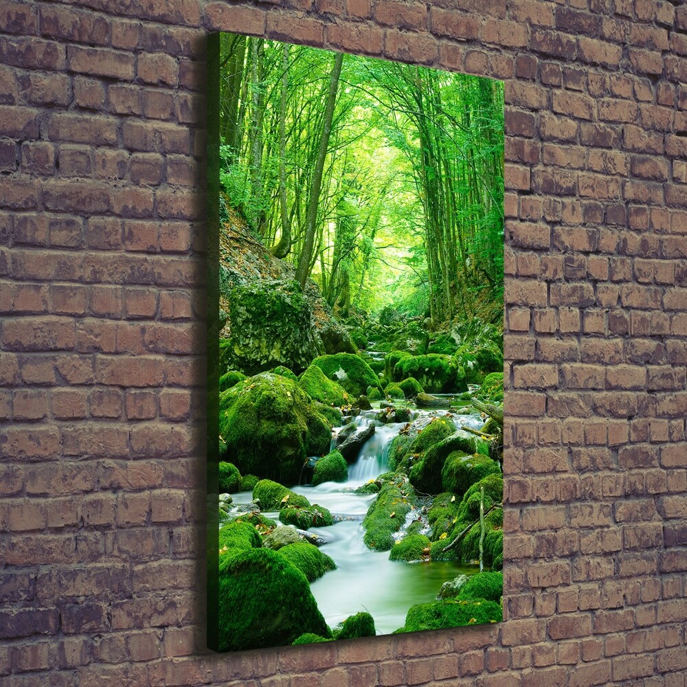 Large canvas wall art A stream in the jungle