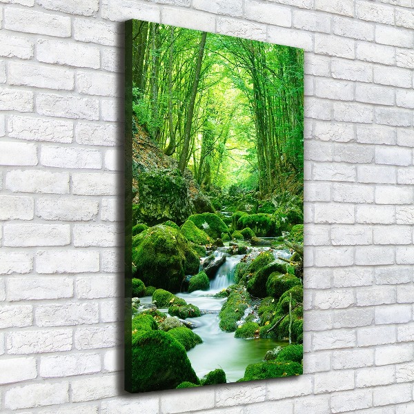 Large canvas wall art A stream in the jungle