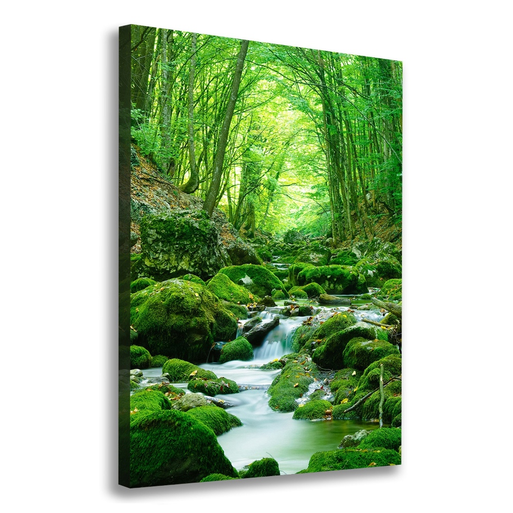 Large canvas wall art A stream in the jungle