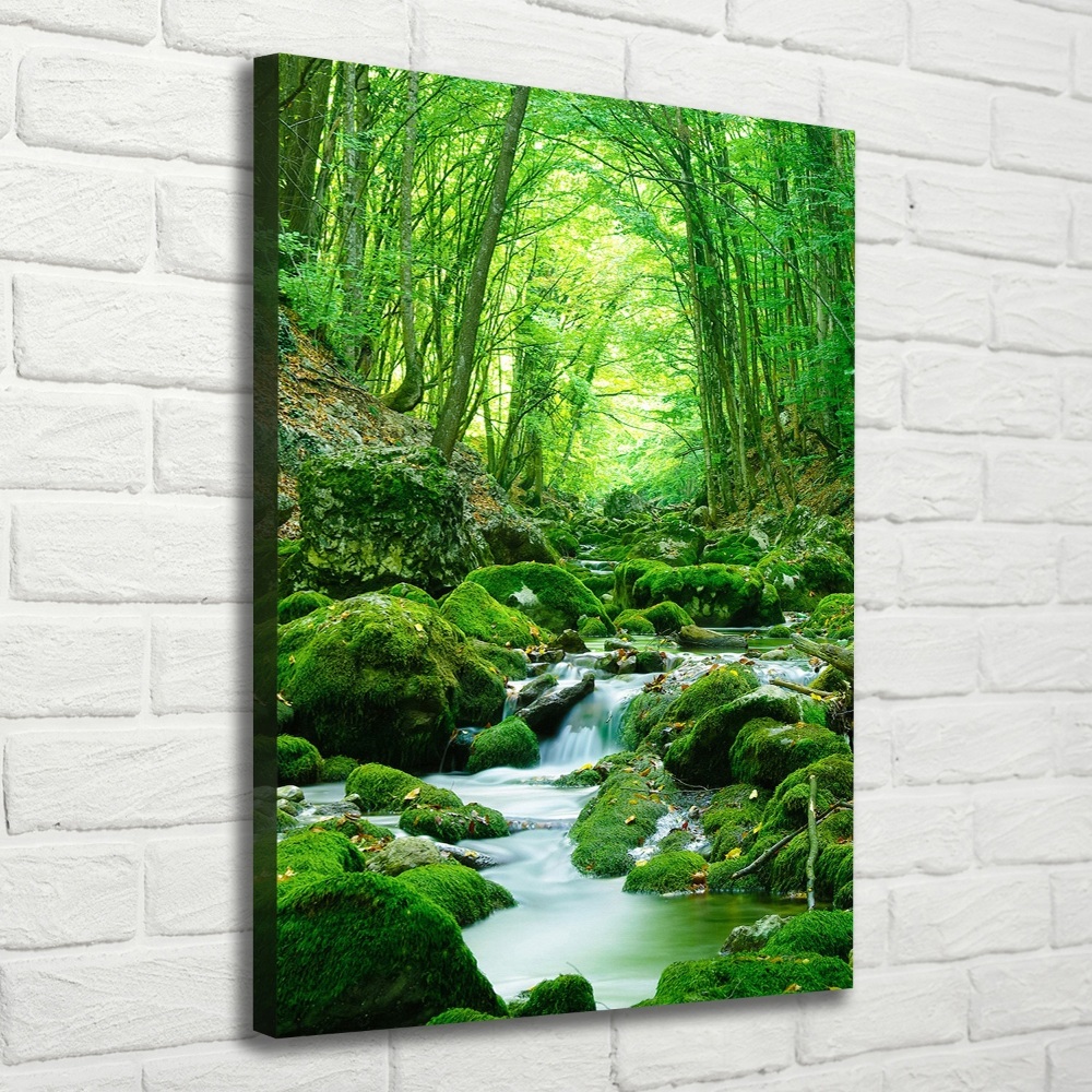 Large canvas wall art A stream in the jungle