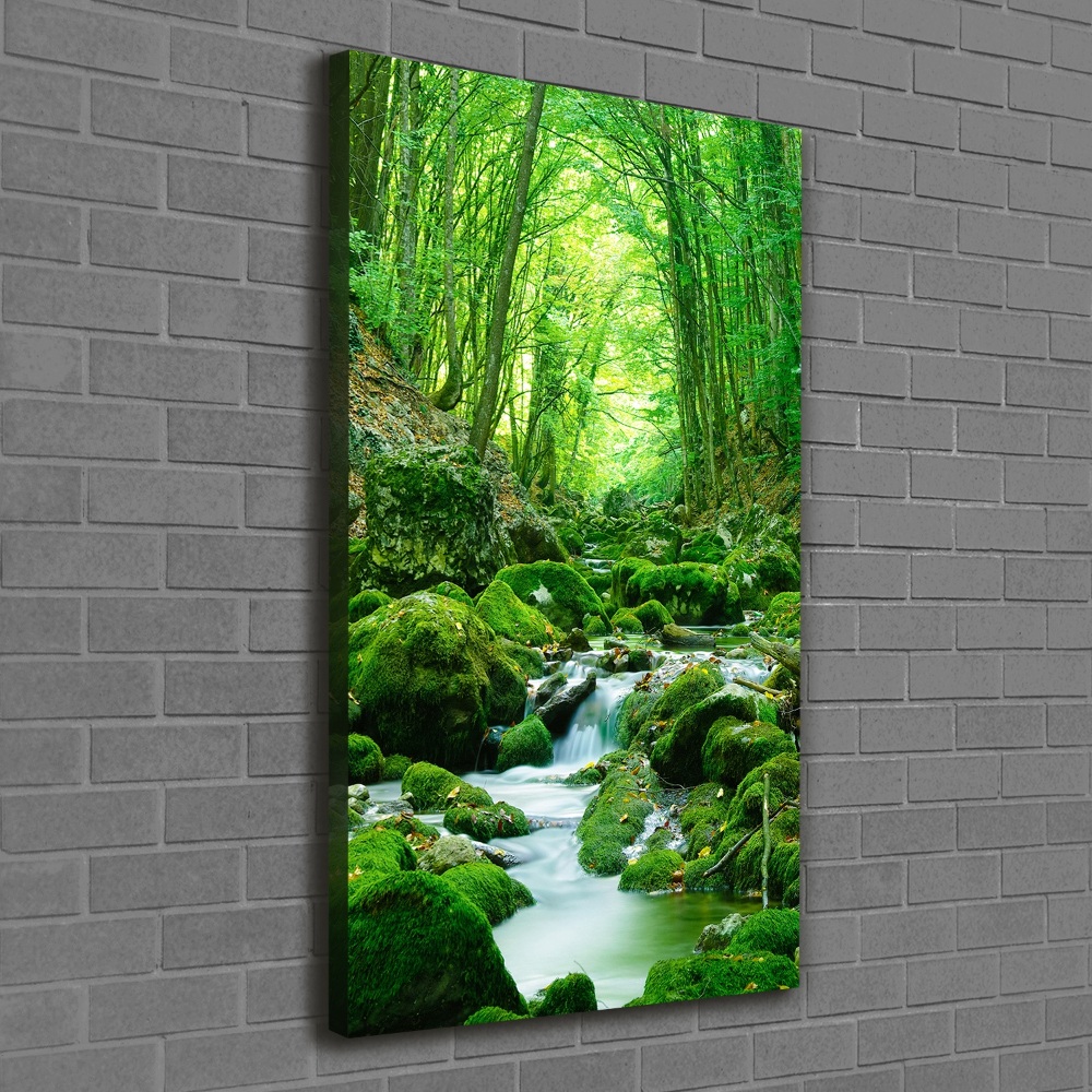 Large canvas wall art A stream in the jungle