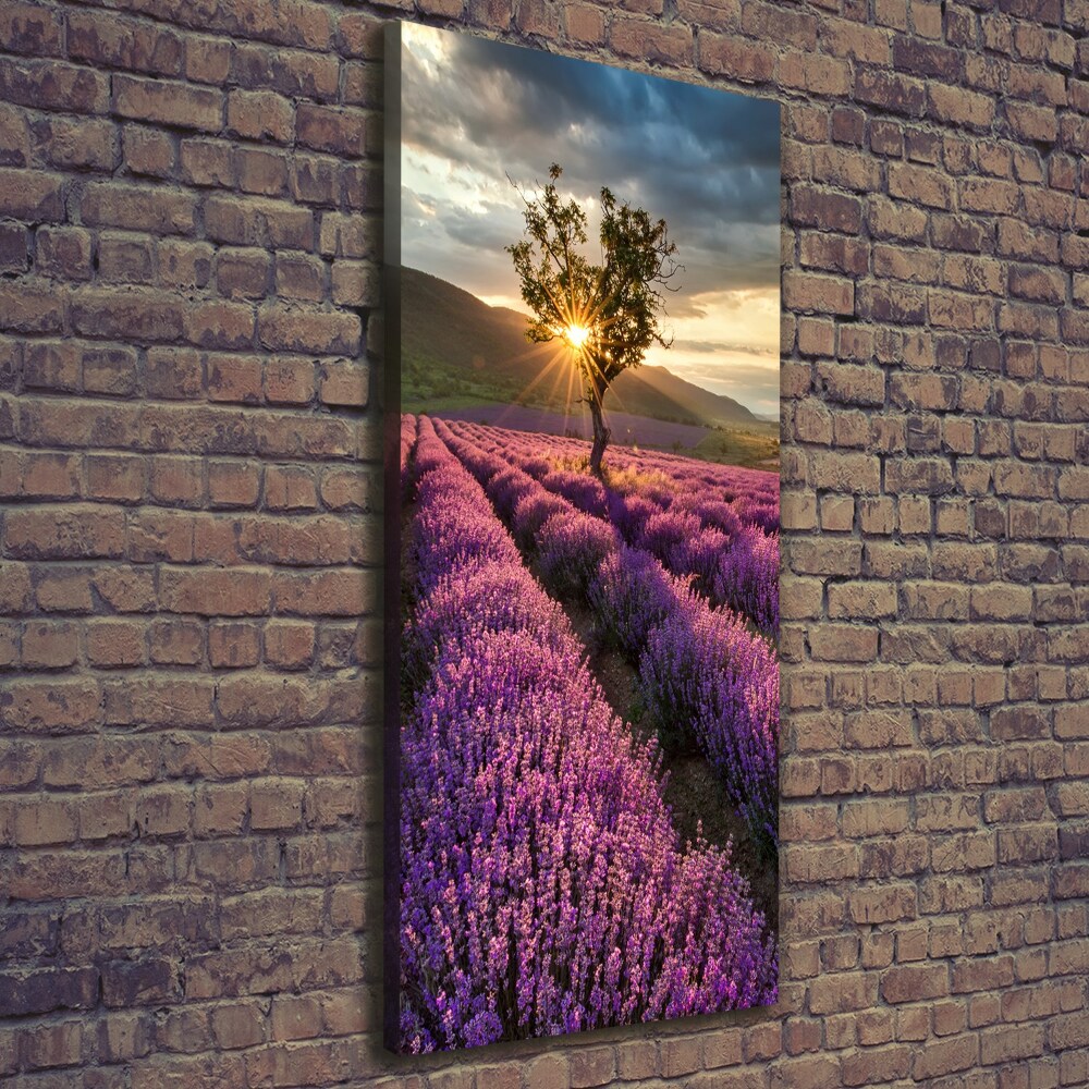 Canvas wall art Lavender field