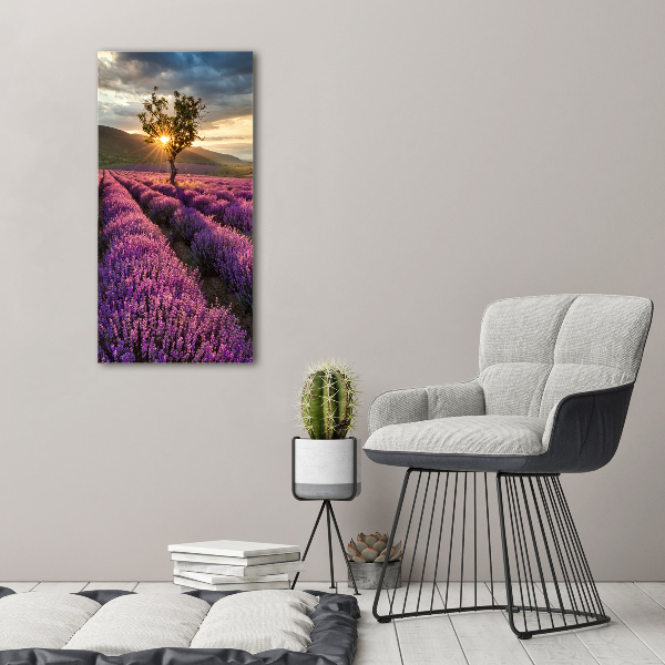 Canvas wall art Lavender field