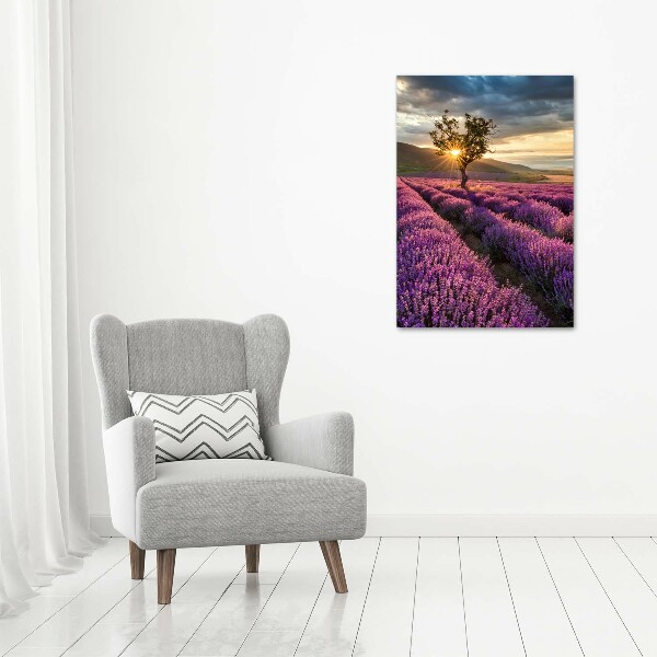 Canvas wall art Lavender field