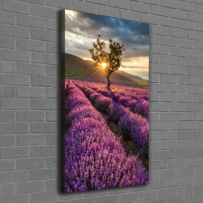 Canvas wall art Lavender field