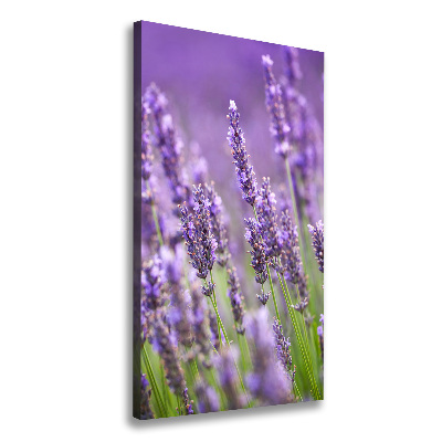 Wall canvas art Lavender field