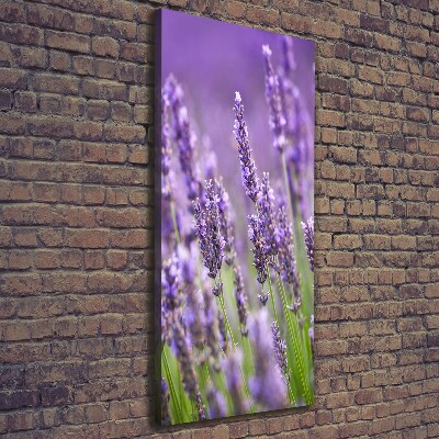 Wall canvas art Lavender field