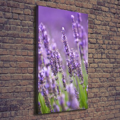 Wall canvas art Lavender field