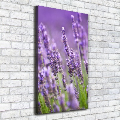 Wall canvas art Lavender field