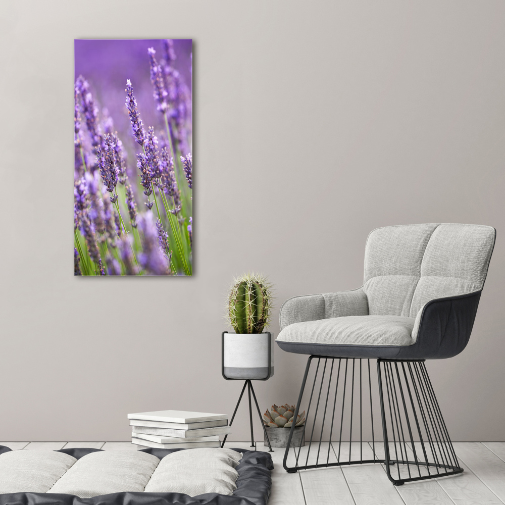 Wall canvas art Lavender field