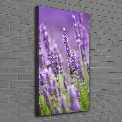 Wall canvas art Lavender field