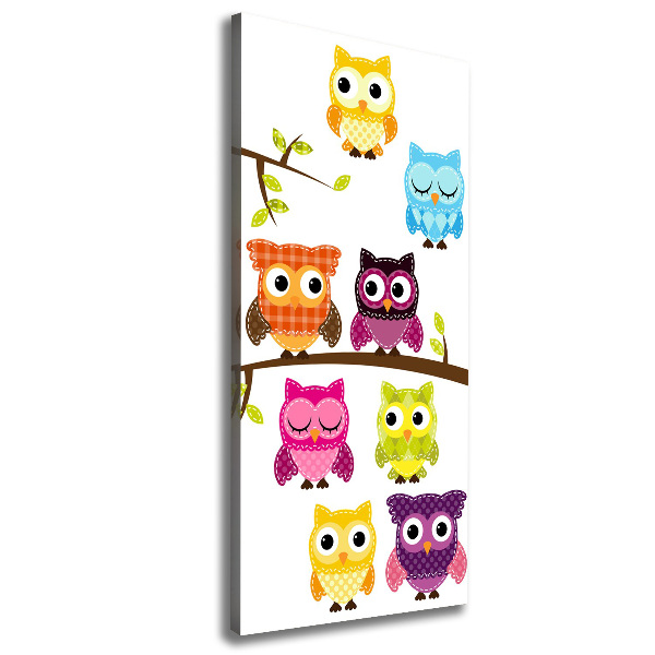 Canvas wall art Colorful owls